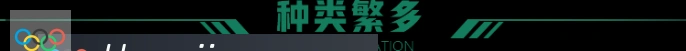 体育数据展示